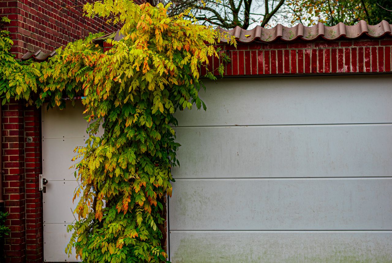 Garage door service in San Jose, CA